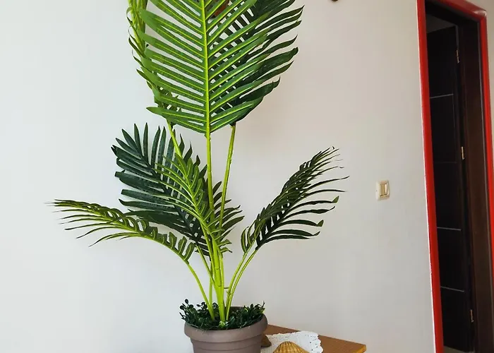 Erjoni Appart hôtel